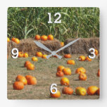 Pumpkins, Corn and Hay Autumn Harvest Photography Square Wall Clock