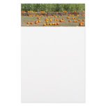 Pumpkins, Corn and Hay Autumn Harvest Photography Stationery