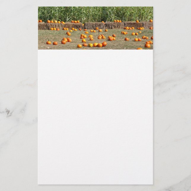 Pumpkins, Corn and Hay Autumn Harvest Photography Stationery (Front)