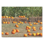 Pumpkins, Corn and Hay Autumn Harvest Photography Tissue Paper