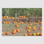 Pumpkins, Corn and Hay Autumn Harvest Photography Tissue Paper