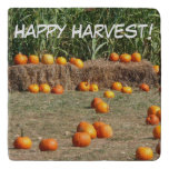 Pumpkins, Corn and Hay Autumn Harvest Photography Trivet
