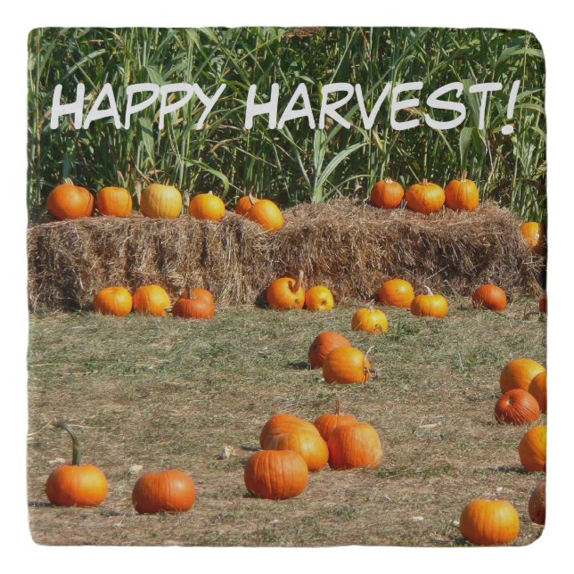 Pumpkins, Corn and Hay Autumn Harvest Photography Trivet (Front)