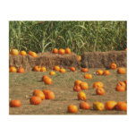 Pumpkins, Corn and Hay Autumn Harvest Photography Wood Wall Decor