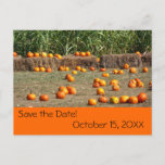 Pumpkins, Corn and Hay Autumn Save the Date Announcement Postcard