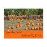 Pumpkins, Corn and Hay Autumn Save the Date Announcement Postcard