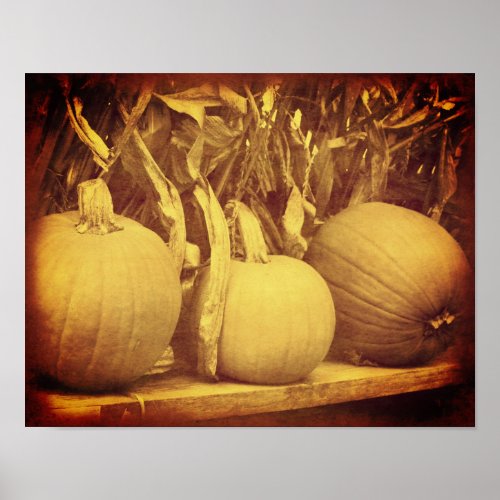 Pumpkins Cornstalks Fall Vintage Look  Poster