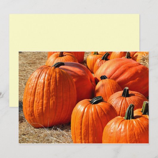 pumpkins for sale (Front/Back)