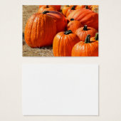 pumpkins for sale (Front & Back)