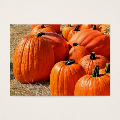 pumpkins for sale business card template