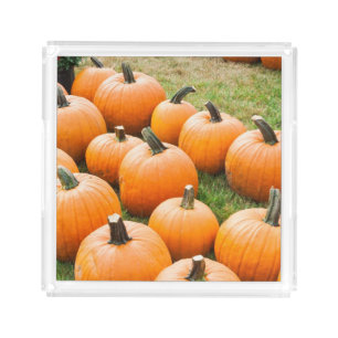 Pumpkins for Sale at a Farmer's Market Acrylic Tray