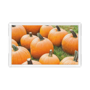 Pumpkins for Sale at a Farmer's Market Acrylic Tray
