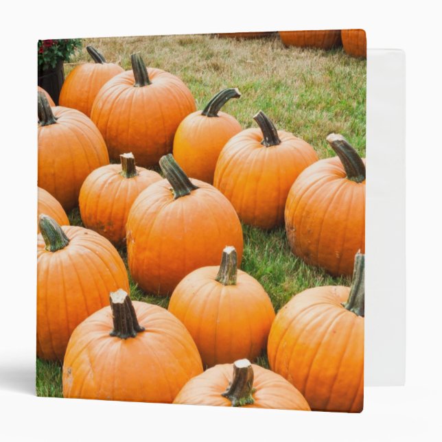 Pumpkins for Sale at a Farmer's Market Binder (Front/Inside)