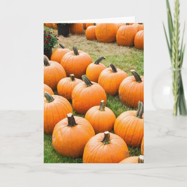 Pumpkins for Sale at a Farmer's Market Card (Front)