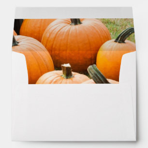 Pumpkins for Sale at a Farmer's Market Envelope