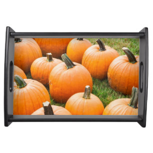 Pumpkins for Sale at a Farmer's Market Serving Tray