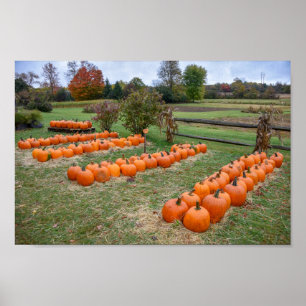 Pumpkins for Sale, New York Farm Poster