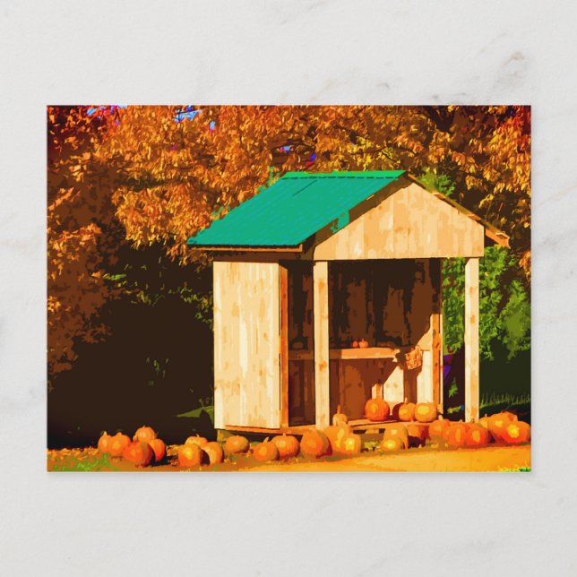 Pumpkins for Sale Postcard (Front)