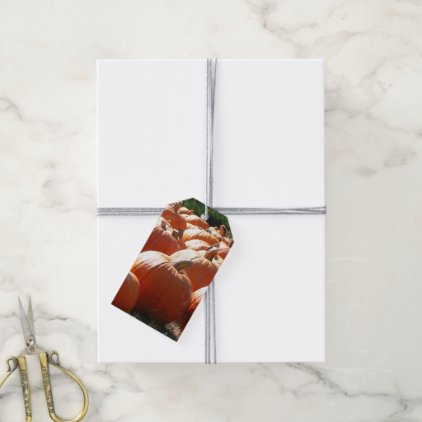 Pumpkins Gift Tags