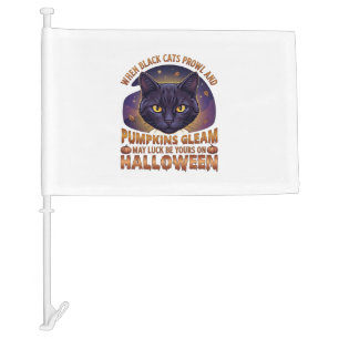 Pumpkins Gleam Halloween Black Cat Falling Leaves_ Car Flag