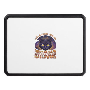 Pumpkins Gleam Halloween Black Cat Falling Leaves_ Hitch Cover