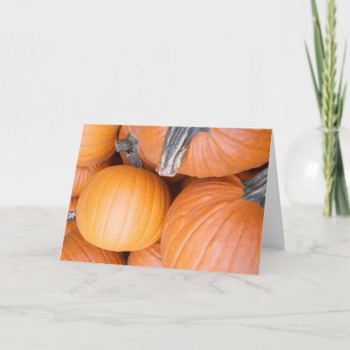 Pumpkins Halloween Card