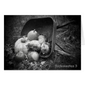 Pumpkins in a barrow (Front Horizontal)