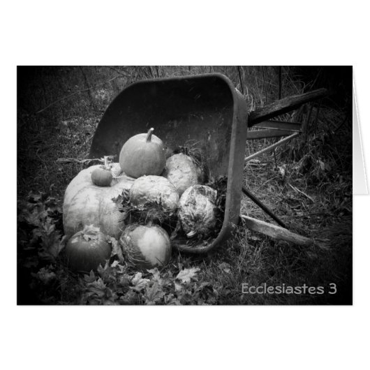 Pumpkins in a barrow cards (Front Horizontal)
