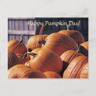 Pumpkins in a Bin - Halloween Postcard