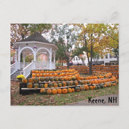 Pumpkins in Keene NH Postcard