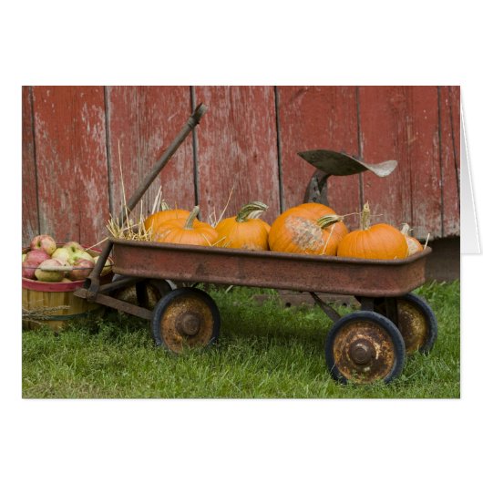 Pumpkins in old wagon cards (Front Horizontal)