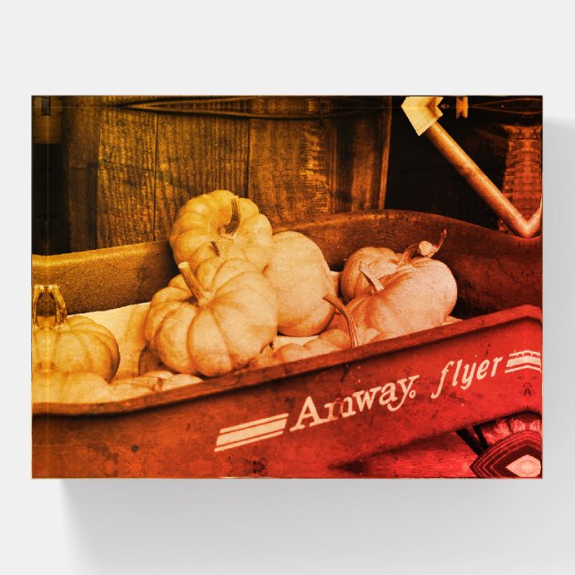 Pumpkins In Old Wagon In Sepia Vintage  Paperweight (Front)