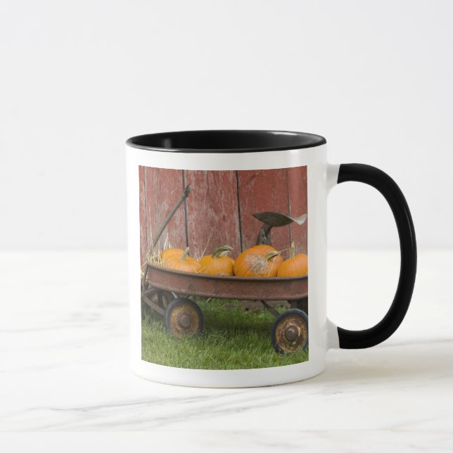 Pumpkins in old wagon mug (Right)