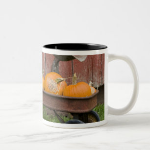 Pumpkins in old wagon Two-Tone coffee mug