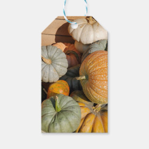 Pumpkins in the Fall Gift Tags