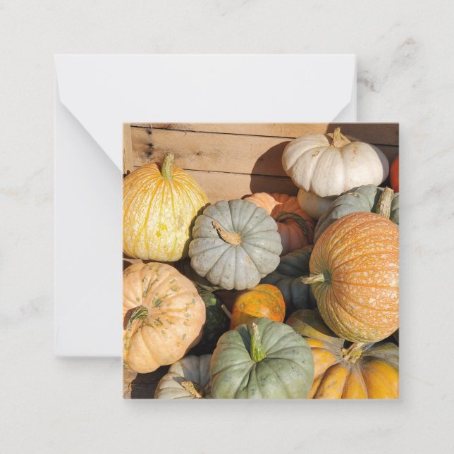 Pumpkins in the Fall Note Card (Front)