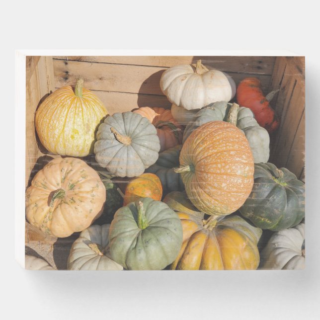Pumpkins in the Fall Wooden Box Sign (Front Horizontal)