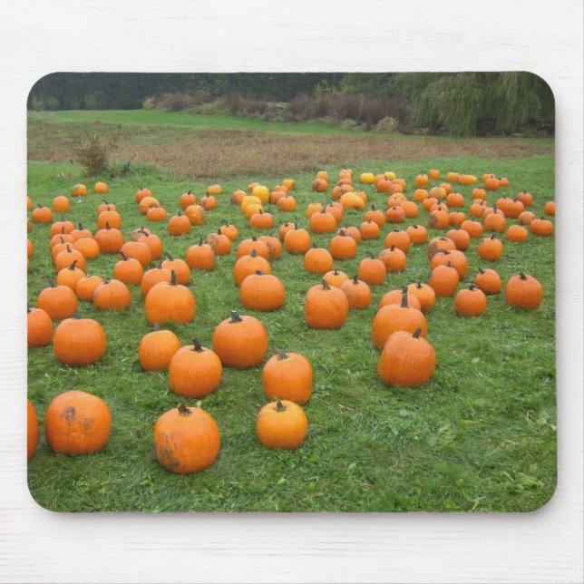Pumpkins in the field mouse pad (Front)