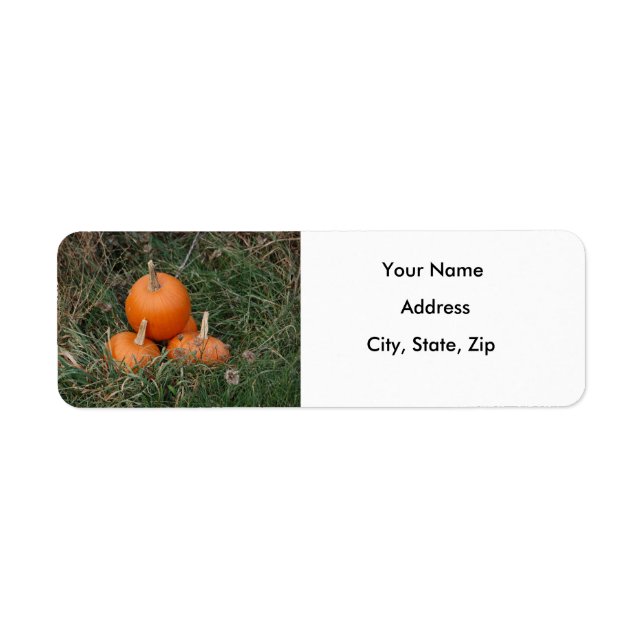 Pumpkins Label (Front)