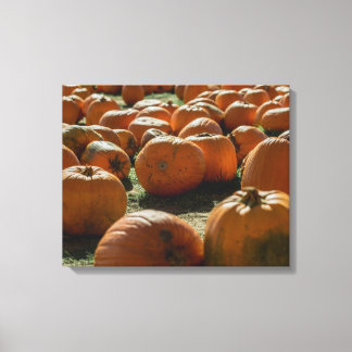 Pumpkins Laid Out For Halloween  Canvas Print