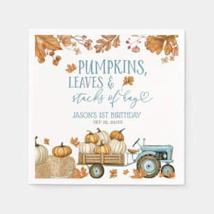 Pumpkins Leaves & Stacks of Hay Boy Napkins