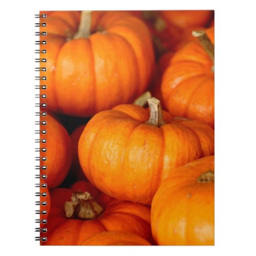 Pumpkins Notebook