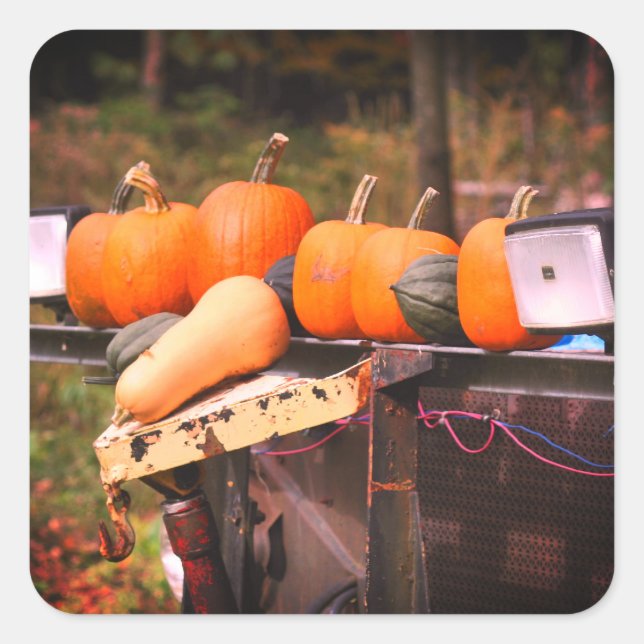 Pumpkins On Old Truck  Square Sticker (Front)