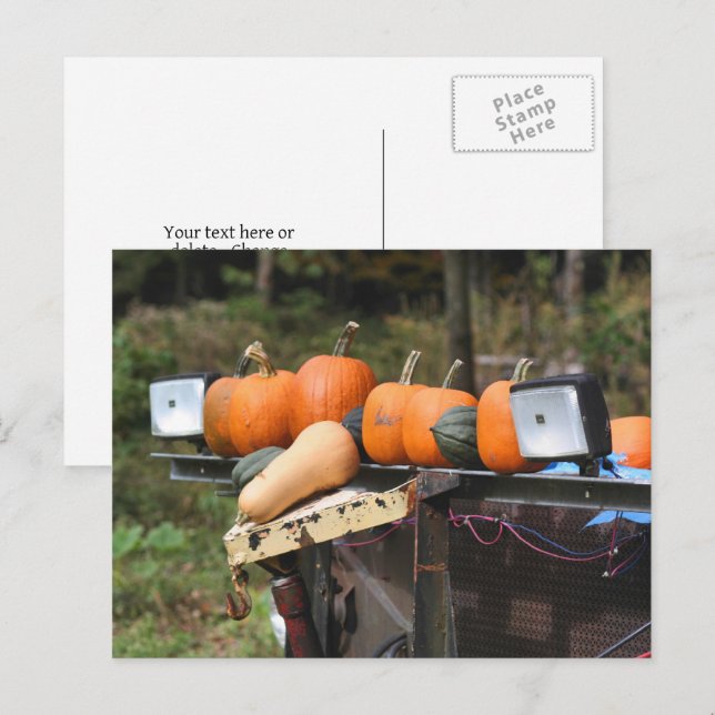 Pumpkins On Truck Country Personalized Postcard (Front/Back)