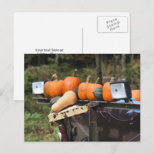 Pumpkins On Truck Country Personalized Postcard