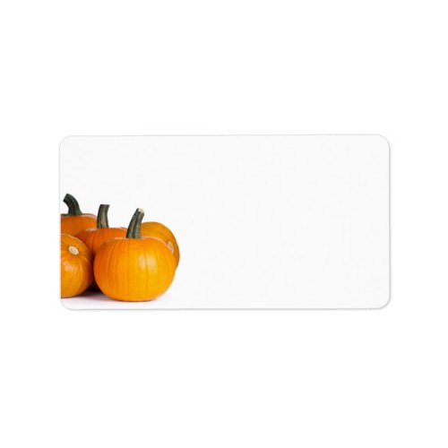 Pumpkins On White Background With Copy Space Label