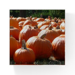 Pumpkins Paperweight