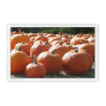Pumpkins Photo for Fall, Halloween or Thanksgiving Acrylic Tray