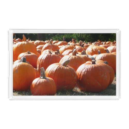 Pumpkins Photo for Fall Halloween or Thanksgiving Acrylic Tray