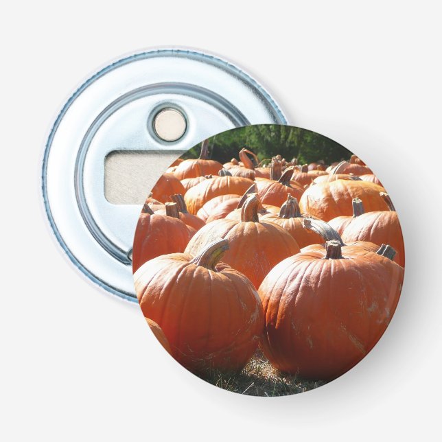 Pumpkins Photo for Fall, Halloween or Thanksgiving Bottle Opener (Front)